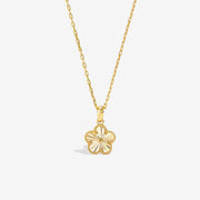 14k Solid Gold Sunray Flower Charm Necklace