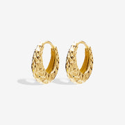 14k Chunky Multifaceted Hoop Earrings