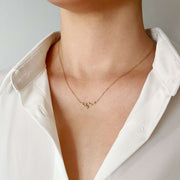 Star-Sown Zodiac Necklace