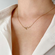 Star-Sown Zodiac Necklace